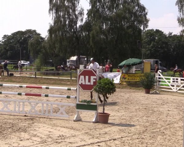 Großes Reit- und Springturnier Herbern 2014