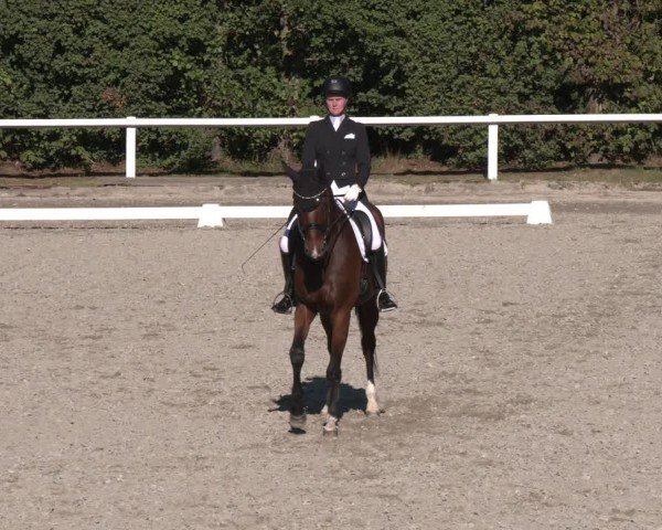 Reitturnier Zillhofen/Obb. 2025