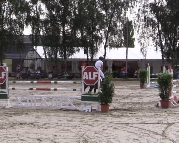 Großes Reit- und Springturnier Herbern 2014