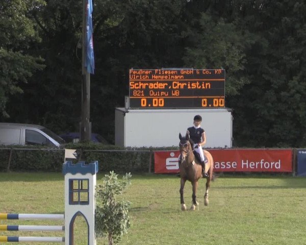 Dressur- und Springturnier Vlotho-Exter 2014