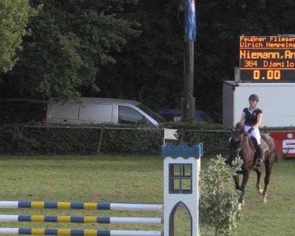 Dressur- und Springturnier Vlotho-Exter 2014