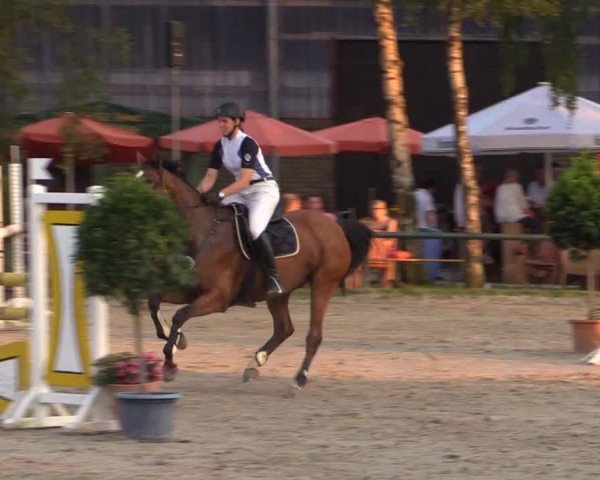 Großes Reit- und Springturnier Herbern 2014