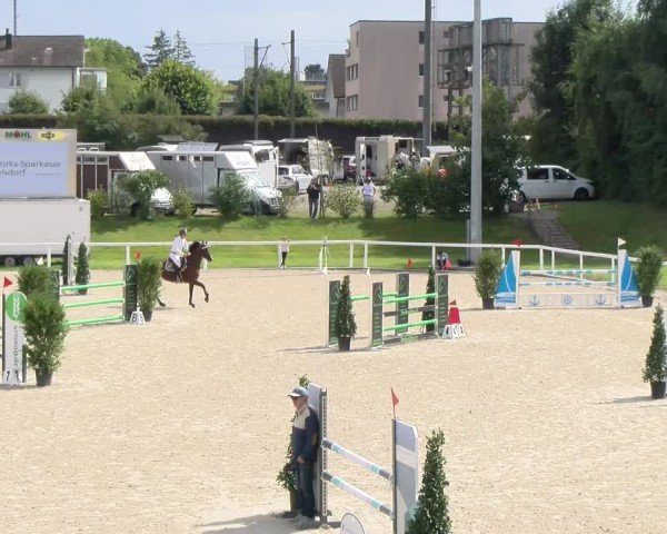 Reitturnier Bülach 2025