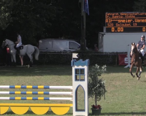 Dressur- und Springturnier Vlotho-Exter 2014