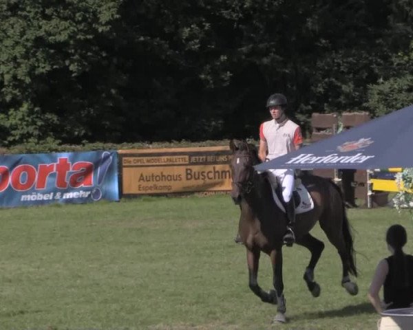 Dressur- und Springturnier Vlotho-Exter 2014