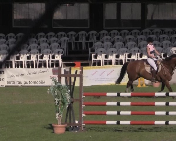 Dressur- und Springturnier Vlotho-Exter 2014