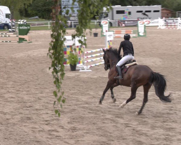 Reitturnier Margarethen am Moos 2025