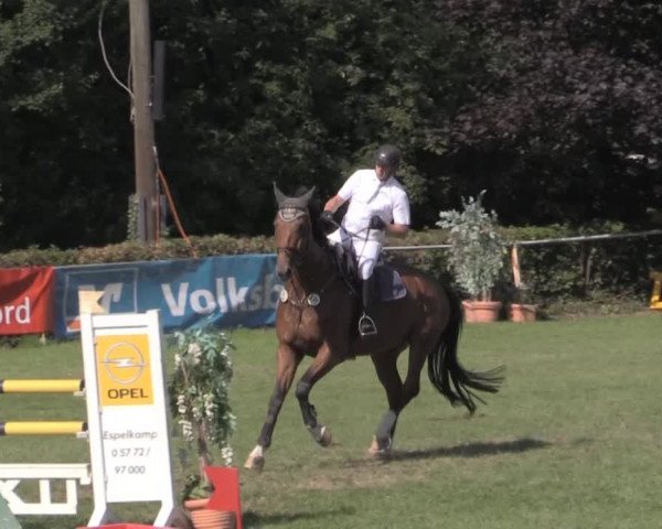 Dressur- und Springturnier Vlotho-Exter 2014