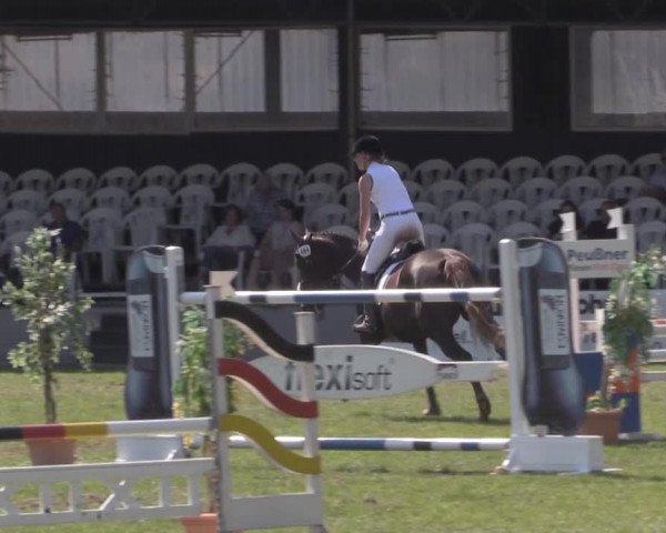 Dressur- und Springturnier Vlotho-Exter 2014