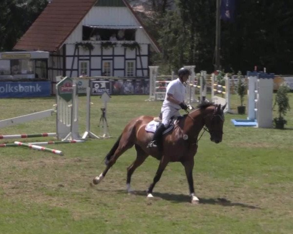 Dressur- und Springturnier Vlotho-Exter 2014