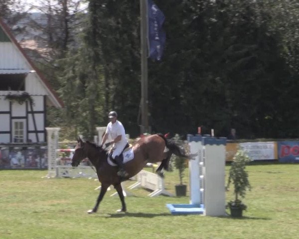 Dressur- und Springturnier Vlotho-Exter 2014