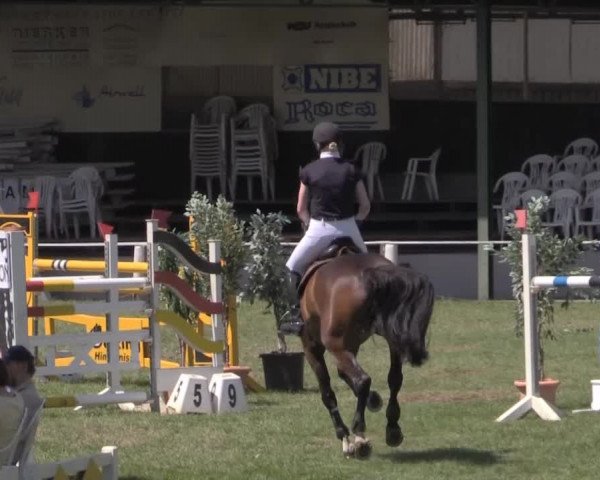 Dressur- und Springturnier Vlotho-Exter 2014