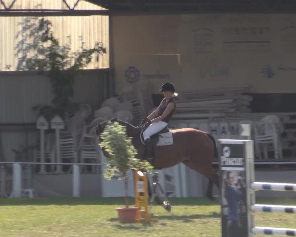 Dressur- und Springturnier Vlotho-Exter 2014