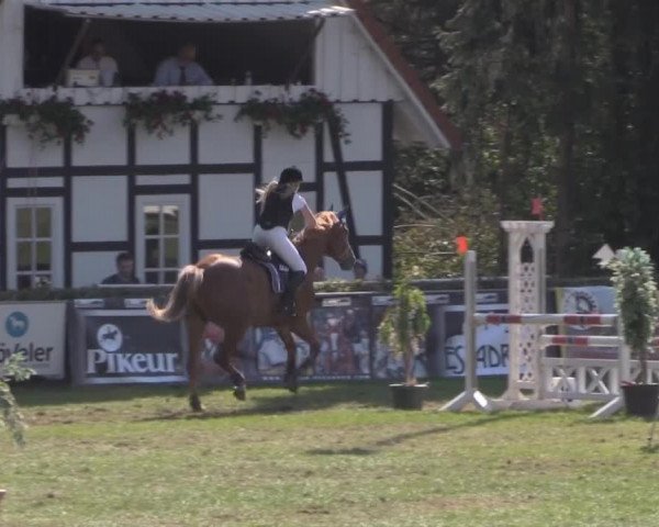 Dressur- und Springturnier Vlotho-Exter 2014