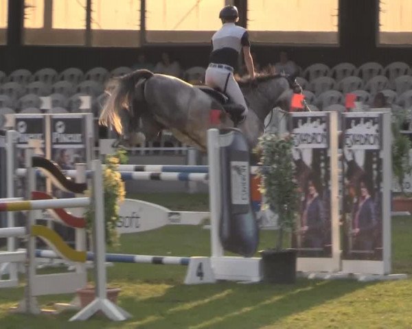 Dressur- und Springturnier Vlotho-Exter 2014