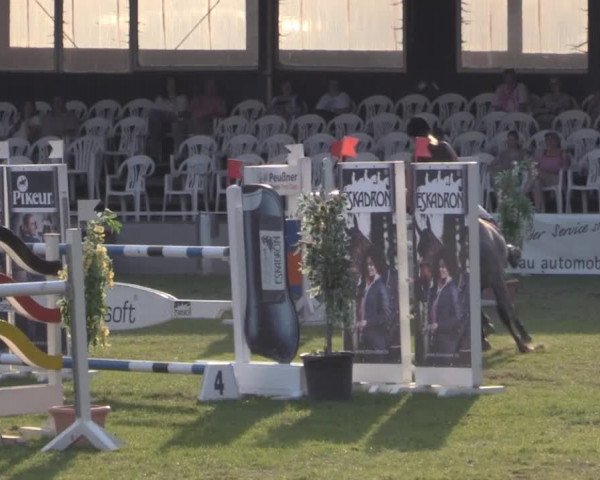 Dressur- und Springturnier Vlotho-Exter 2014