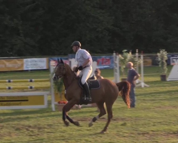 Dressur- und Springturnier Vlotho-Exter 2014