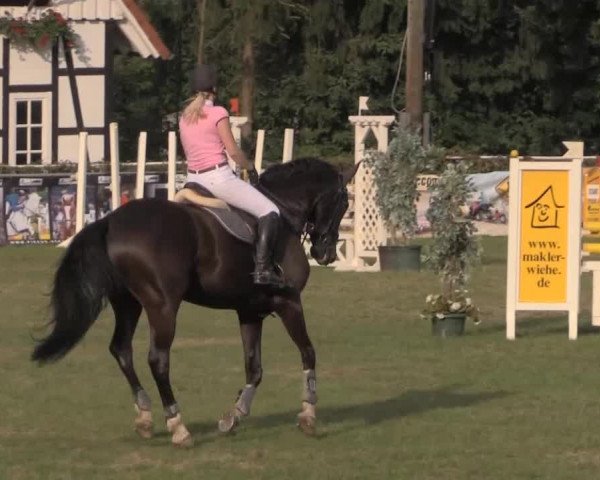 Dressur- und Springturnier Vlotho-Exter 2014