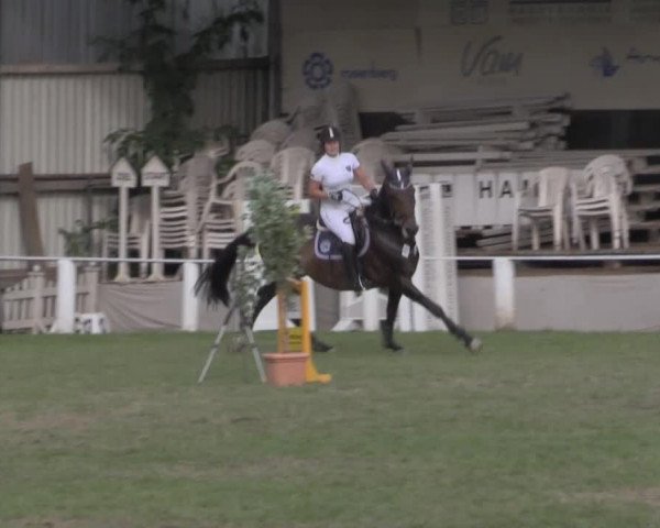 Dressur- und Springturnier Vlotho-Exter 2014