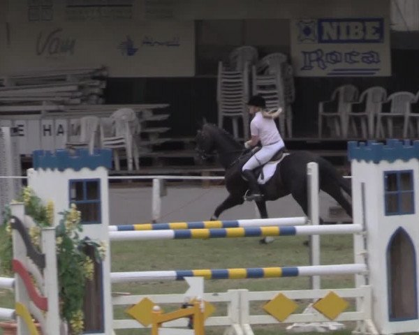 Dressur- und Springturnier Vlotho-Exter 2014
