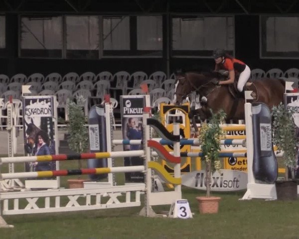 Dressur- und Springturnier Vlotho-Exter 2014