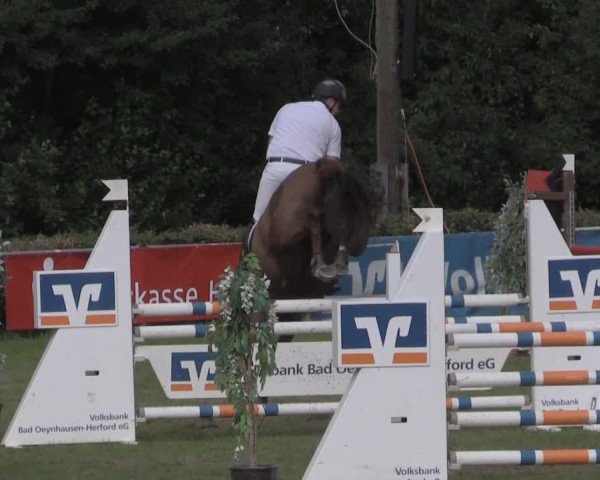 Dressur- und Springturnier Vlotho-Exter 2014