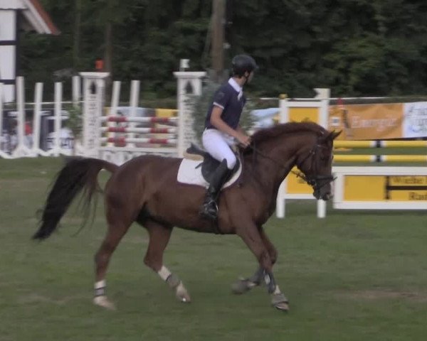 Dressur- und Springturnier Vlotho-Exter 2014