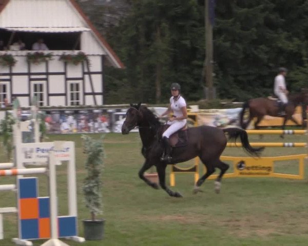 Dressur- und Springturnier Vlotho-Exter 2014