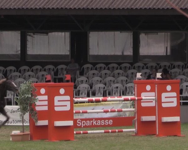 Dressur- und Springturnier Vlotho-Exter 2014