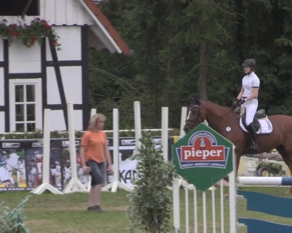 Dressur- und Springturnier Vlotho-Exter 2014