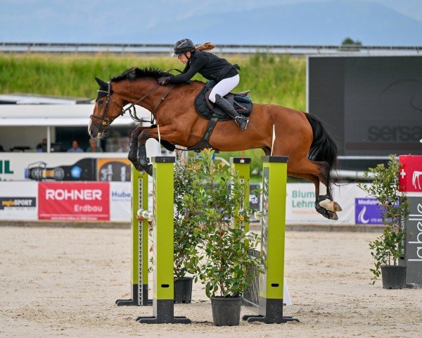 Springpferd Aranel CH (Schweizer Warmblut, 2019, von Agassi)