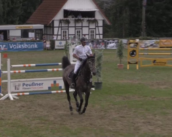 Dressur- und Springturnier Vlotho-Exter 2014
