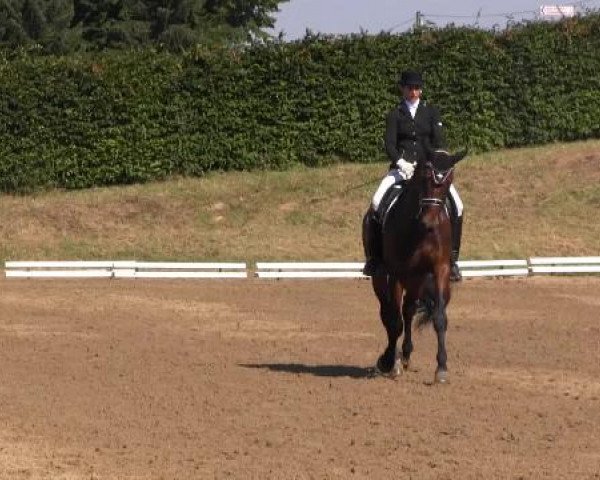 Dressur- und Springturnier Vlotho-Exter 2014