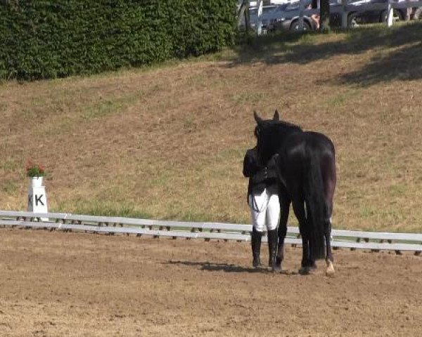 Dressur- und Springturnier Vlotho-Exter 2014