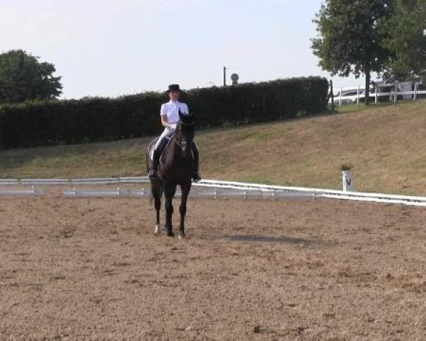 Dressur- und Springturnier Vlotho-Exter 2014