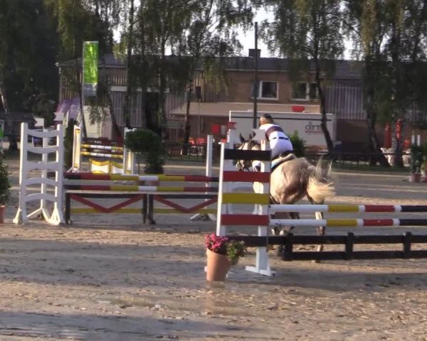 Großes Reit- und Springturnier Herbern 2014