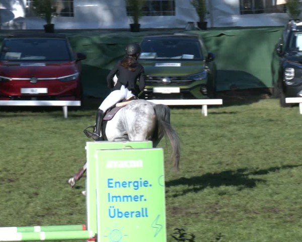 Reitturnier Dannenberg 2025