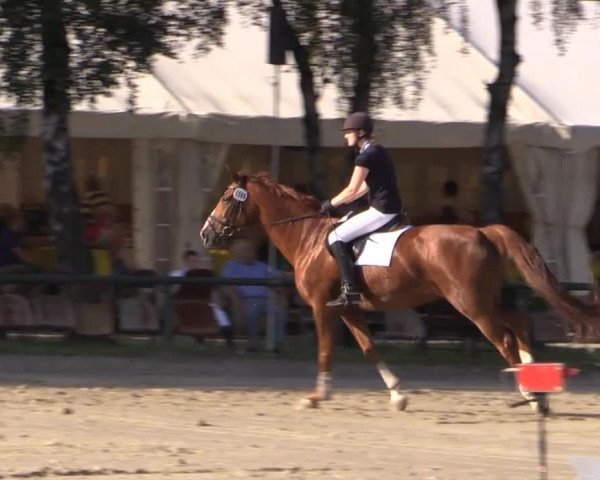 Großes Reit- und Springturnier Herbern 2014
