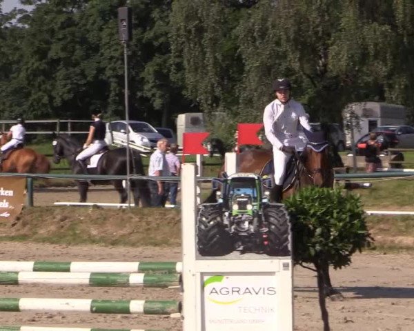 Großes Reit- und Springturnier Herbern 2014