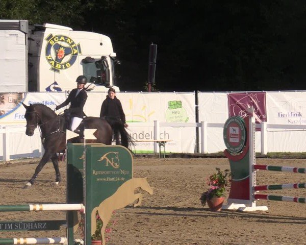Reitturnier Oberkaufungen 2025