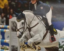 Springpferd Carl 68 (Deutsches Sportpferd, 2010, von Colorit)