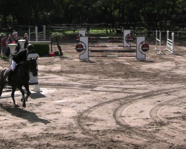 Reitturnier Berlin-Waldesruh 2025