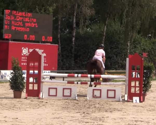 Großes Reit- und Springturnier Herbern 2014