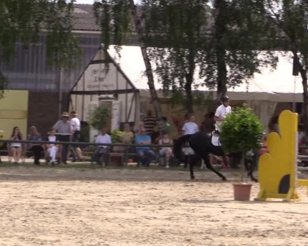 Großes Reit- und Springturnier Herbern 2014