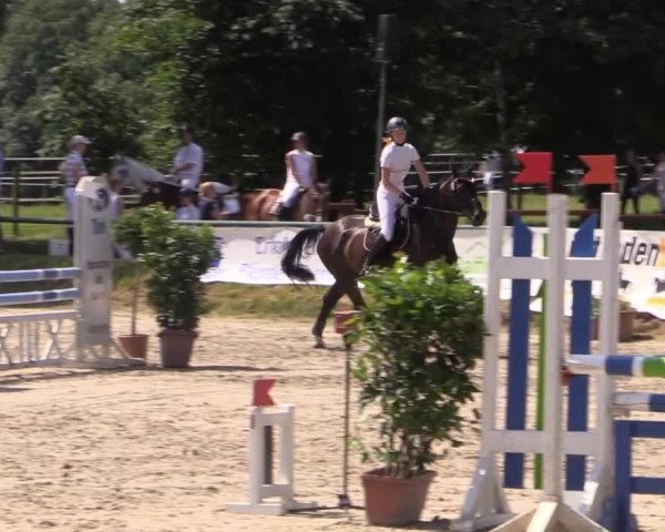 Großes Reit- und Springturnier Herbern 2014