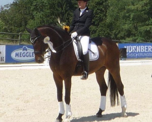 dressage horse Sandrit (Mecklenburg, 1997, from Sandro Hit) dressage horse Sandrit (Mecklenburg, 1997, from Sandro Hit)