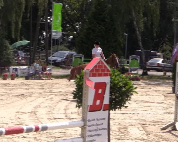 Großes Reit- und Springturnier Herbern 2014