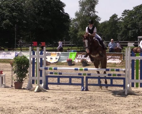 Großes Reit- und Springturnier Herbern 2014