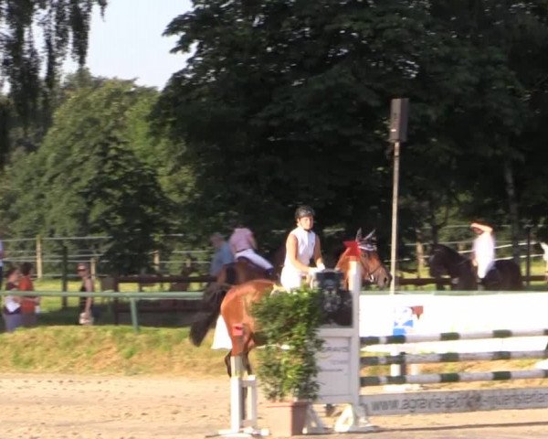 Großes Reit- und Springturnier Herbern 2014