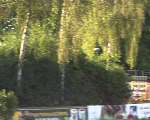 Großes Reit- und Springturnier Herbern 2014